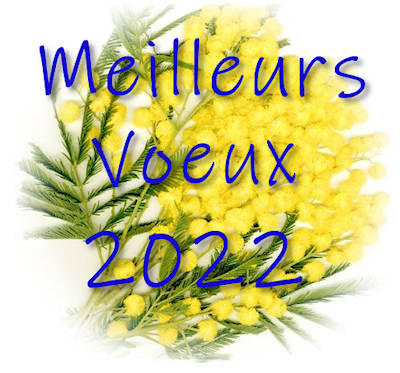 Bonne année 2022